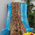 Multi colour Pure Handloom Kanchi Kalamkari Silk Saree Copper Sulphate Blue Border and Pallu with Blouse